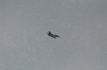 Dcim9321/DSC_3625