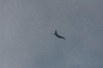 Dcim9321/DSC_3646