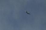 Dcim9321/DSC_3647