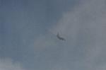 Dcim9321/DSC_3648