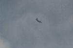 Dcim9321/DSC_3649