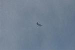 Dcim9321/DSC_3656