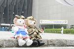 Dcim9337/DSC_5221