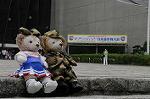 Dcim9337/DSC_5223
