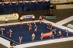 Dcim9337/DSC_5233