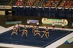 Dcim9344/DSC_6311