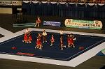 Dcim9345/DSC_6453