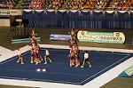 Dcim9348/DSC_7015