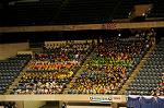 Dcim9351/DSC_7217