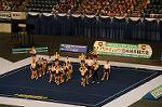 Dcim9352/DSC_7485