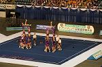 Dcim9353/DSC_7549