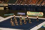 Dcim9355/DSC_7890