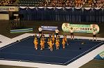 Dcim9356/DSC_8016