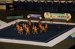 Dcim9356/DSC_8018