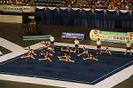 Dcim9356/DSC_8080
