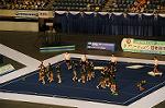 Dcim9358/DSC_8365