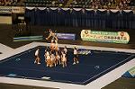 Dcim9359/DSC_8552