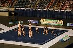 Dcim9360/DSC_8655