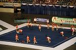 Dcim9369/DSC_0099