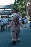 Dcim9395/DSC_8696
