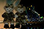 Dcim9398/DSC_9176