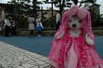 Dcim9401/DSC_9320