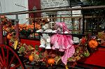 Dcim9408/DSC_0144