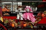 Dcim9408/DSC_0149
