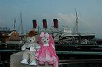 Dcim9409/DSC_0319