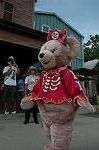 Dcim9413/DSC_0564
