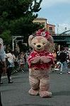 Dcim9413/DSC_0635