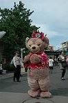 Dcim9413/DSC_0641