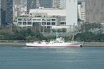 Dcim9423/DSC_1435