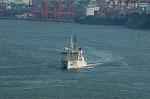 Dcim9424/DSC_1564
