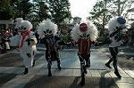 Dcim9438/DSC_2717