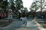 Dcim9438/DSC_2769
