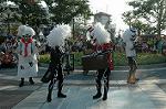 Dcim9439/DSC_2807