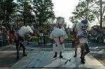 Dcim9439/DSC_2870