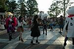 Dcim9440/DSC_2974