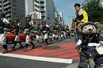 Dcim9444/DSC_3364