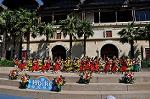Dcim9452/DSC_0208