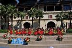 Dcim9452/DSC_0209