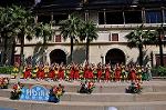 Dcim9452/DSC_0217
