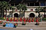 Dcim9452/DSC_0218