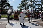 Dcim9454/DSC_0524