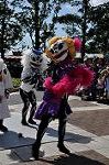 Dcim9455/DSC_0645
