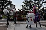 Dcim9455/DSC_0672