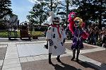 Dcim9456/DSC_0798