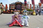 Dcim9456/DSC_0828