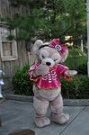 Dcim9457/DSC_0912